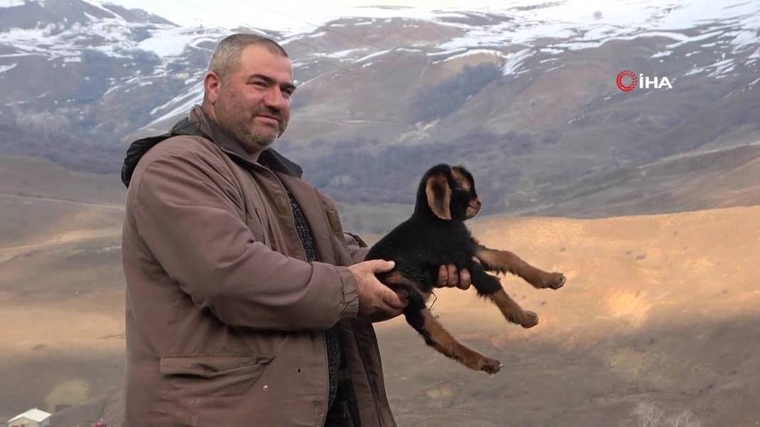 Görenler gözlerine inanamıyor: Tam 3 adet...! Görmek için civar köylerden geliyorlar 21